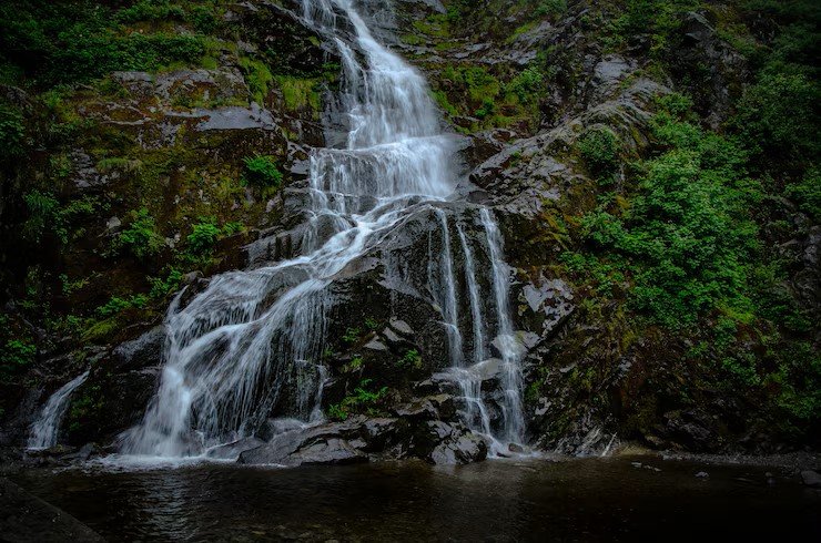 Trek to the Falls